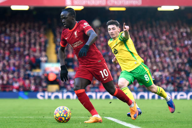 移地推进体 移地推进体